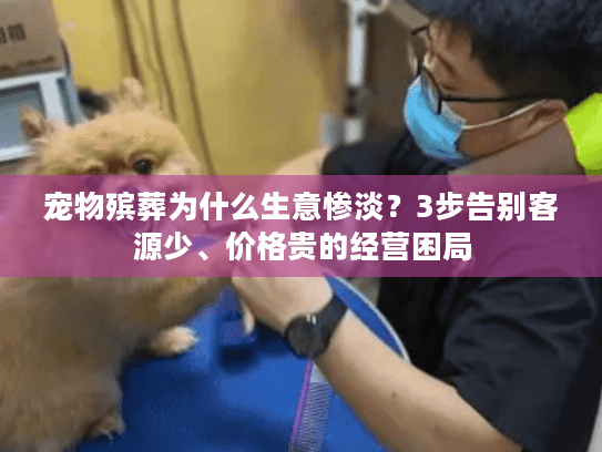 宠物殡葬为什么生意惨淡？3步告别客源少、价格贵的经营困局