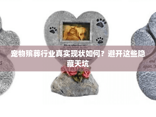 宠物殡葬行业真实现状如何？避开这些隐藏天坑