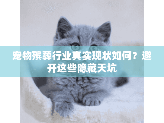 宠物殡葬行业真实现状如何？避开这些隐藏天坑