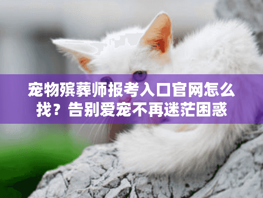 宠物殡葬师报考入口官网怎么找？告别爱宠不再迷茫困惑