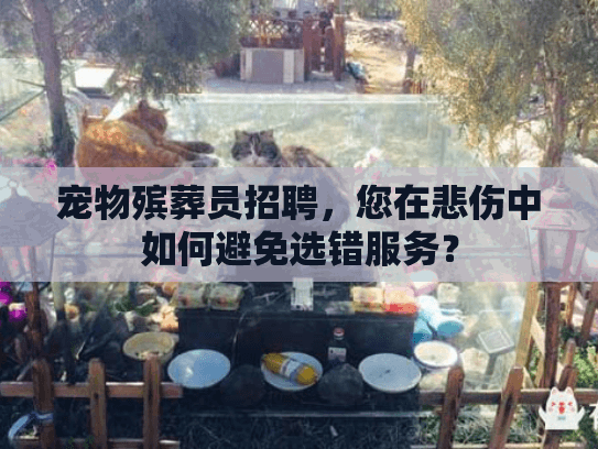 宠物殡葬员招聘，您在悲伤中如何避免选错服务？