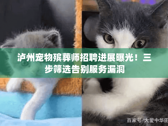 泸州宠物殡葬师招聘进展曝光!三步筛选告别服务漏洞 泸州宠物殡葬师招聘进展曝光!三步筛选告别服务漏洞