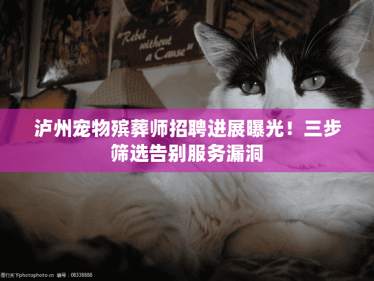泸州宠物殡葬师招聘进展曝光!三步筛选告别服务漏洞 泸州宠物殡葬师招聘进展曝光!三步筛选告别服务漏洞