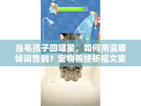 当毛孩子回喵星，如何用温暖悼词告别？宠物善终祈福文案创作指南