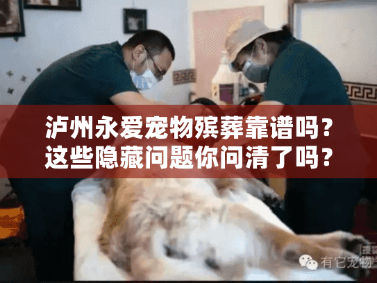 泸州永爱宠物殡葬靠谱吗？这些隐藏问题你问清了吗？