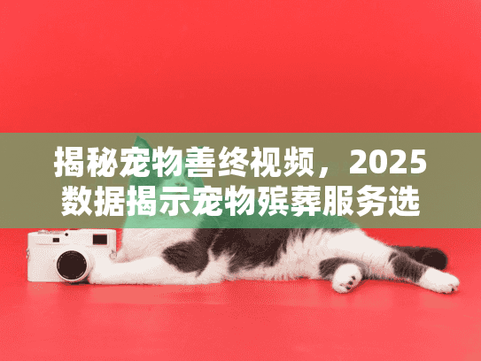 揭秘宠物善终视频，2025数据揭示宠物殡葬服务选择真相？