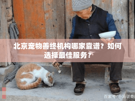 北京宠物善终机构哪家靠谱？如何选择最佳服务？