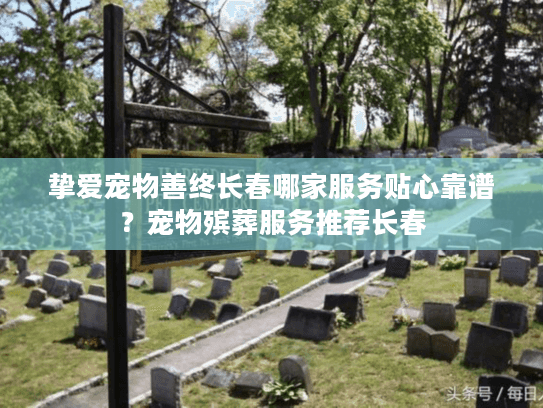 挚爱宠物善终长春哪家服务贴心靠谱？宠物殡葬服务推荐长春