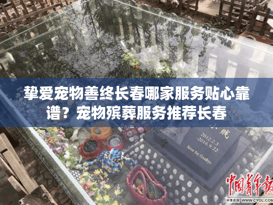 挚爱宠物善终长春哪家服务贴心靠谱？宠物殡葬服务推荐长春