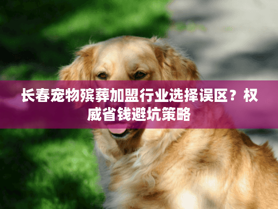 长春宠物殡葬加盟行业选择误区？权威省钱避坑策略