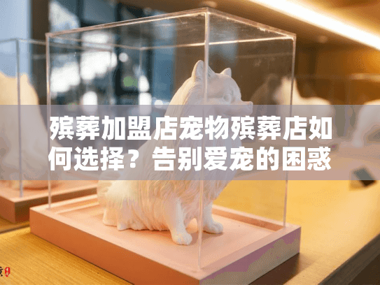殡葬加盟店宠物殡葬店如何选择？告别爱宠的困惑解决指南