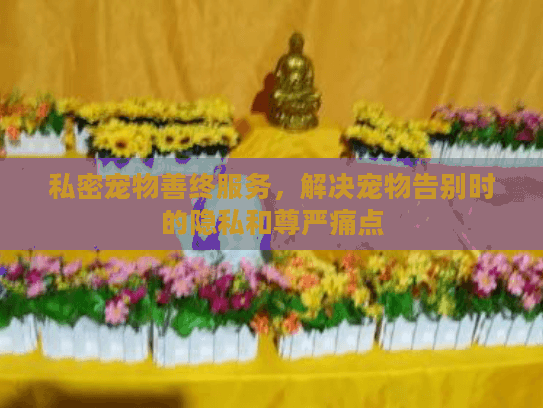 私密宠物善终服务，解决宠物告别时的隐私和尊严痛点