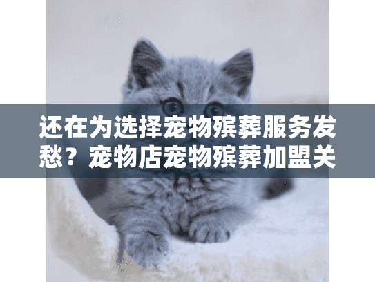 还在为选择宠物殡葬服务发愁？宠物店宠物殡葬加盟关键选择指南