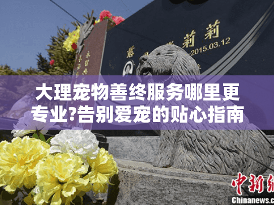 大理宠物善终服务哪里更专业?告别爱宠的贴心指南