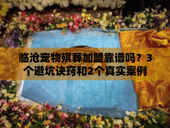 临沧宠物殡葬加盟靠谱吗？3个避坑诀窍和2个真实案例