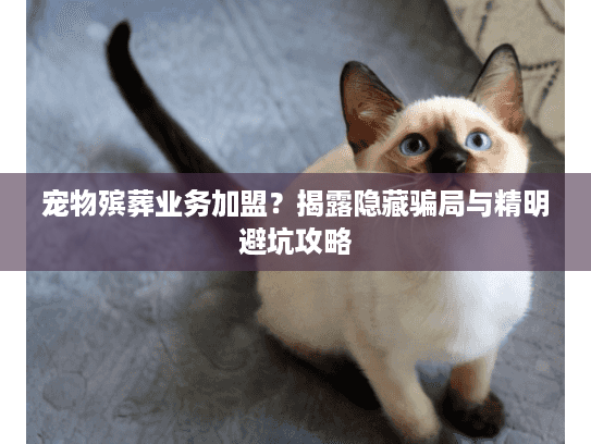 宠物殡葬业务加盟？揭露隐藏骗局与精明避坑攻略