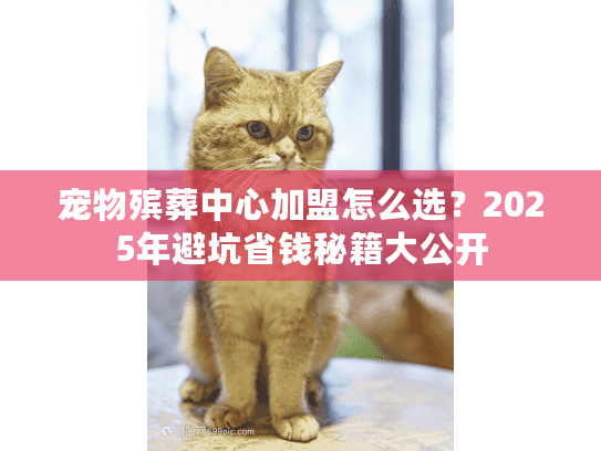 宠物殡葬中心加盟怎么选？2025年避坑省钱秘籍大公开