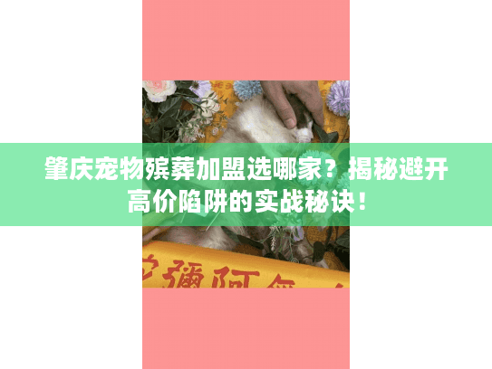 肇庆宠物殡葬加盟选哪家？揭秘避开高价陷阱的实战秘诀！