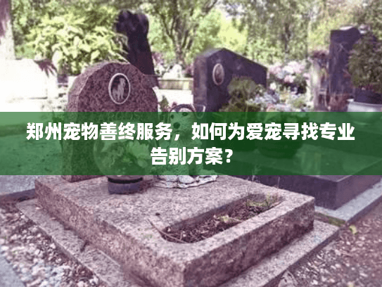 郑州宠物善终服务，如何为爱宠寻找专业告别方案？