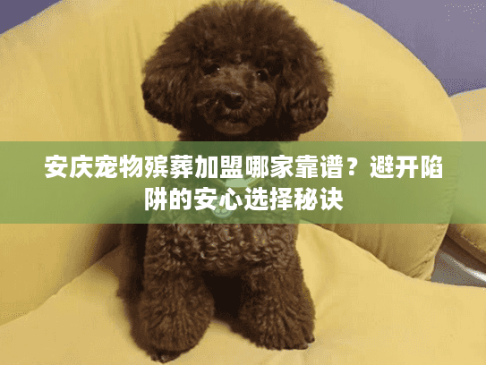 安庆宠物殡葬加盟哪家靠谱？避开陷阱的安心选择秘诀