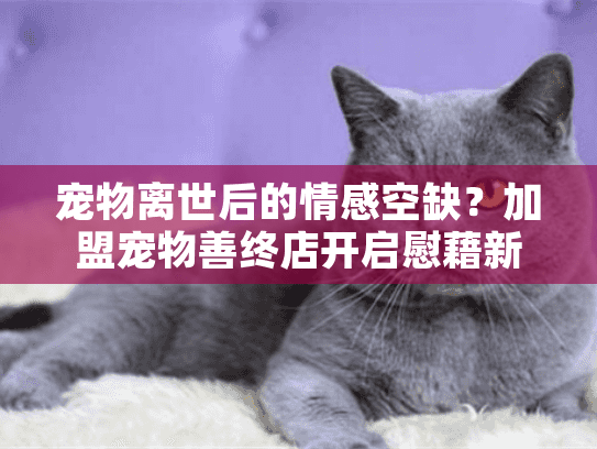 宠物离世后的情感空缺？加盟宠物善终店开启慰藉新篇