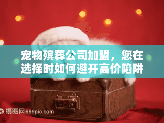 宠物殡葬公司加盟，您在选择时如何避开高价陷阱和服务空白？