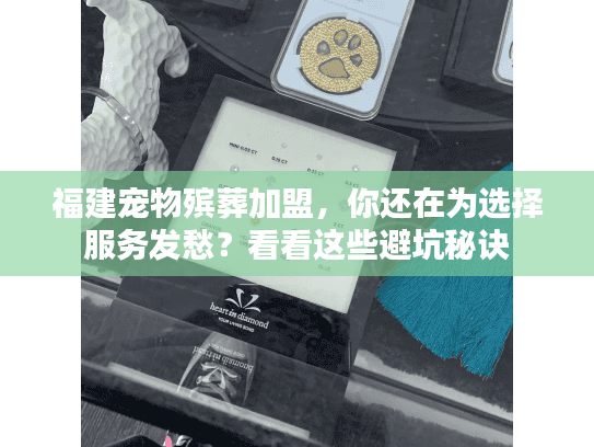 福建宠物殡葬加盟,你还在为选择服务发愁?看看这些避坑秘诀 福建宠物殡葬加盟,你还在为选择服务发愁?看看这些避坑秘诀