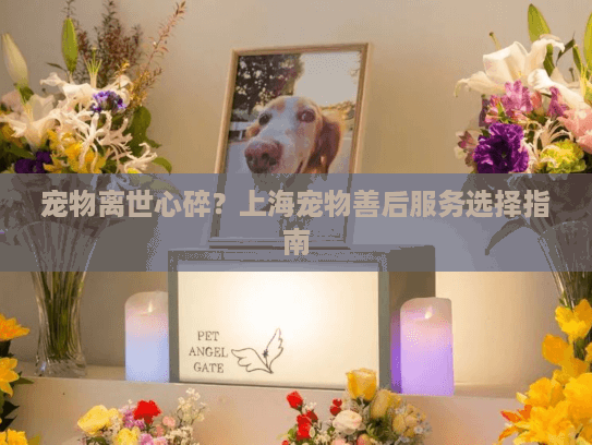 宠物离世心碎？上海宠物善后服务选择指南