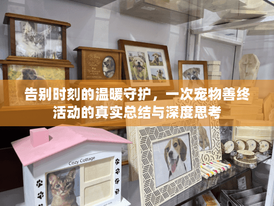 告别时刻的温暖守护，一次宠物善终活动的真实总结与深度思考