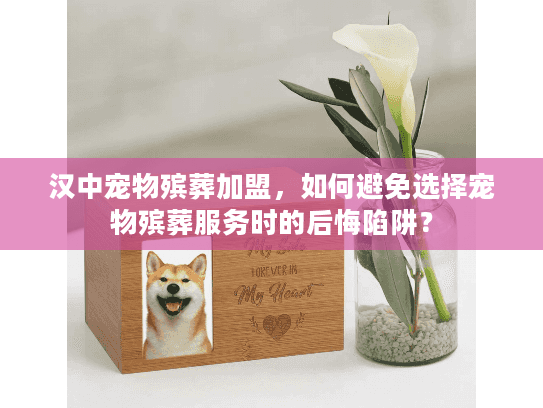 汉中宠物殡葬加盟，如何避免选择宠物殡葬服务时的后悔陷阱？