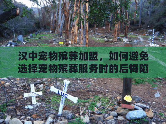 汉中宠物殡葬加盟，如何避免选择宠物殡葬服务时的后悔陷阱？