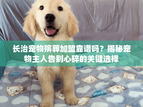 长治宠物殡葬加盟靠谱吗？揭秘宠物主人告别心碎的关键选择