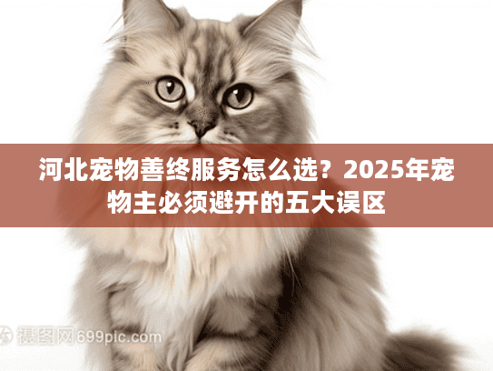 河北宠物善终服务怎么选？2025年宠物主必须避开的五大误区