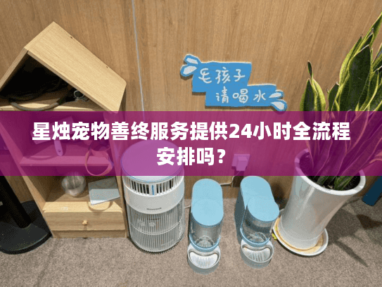 星烛宠物善终服务提供24小时全流程安排吗？