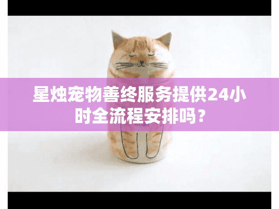 星烛宠物善终服务提供24小时全流程安排吗？