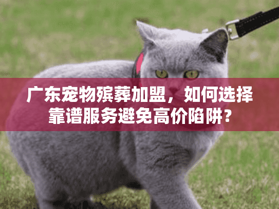 广东宠物殡葬加盟，如何选择靠谱服务避免高价陷阱？