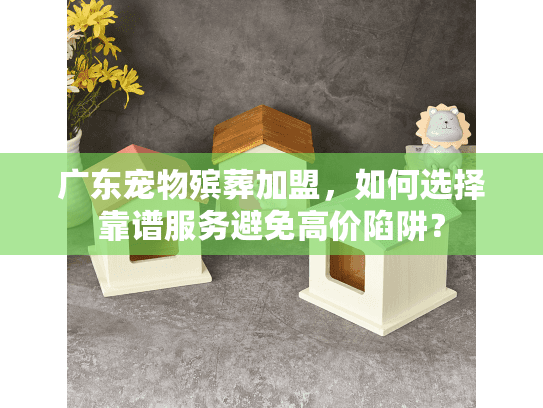 广东宠物殡葬加盟，如何选择靠谱服务避免高价陷阱？