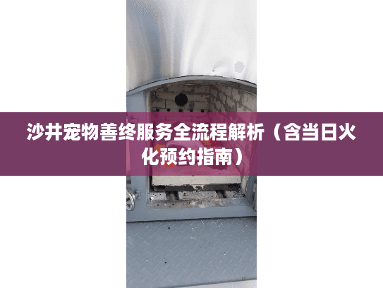 沙井宠物善终服务全流程解析（含当日火化预约指南）