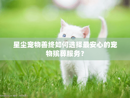 星尘宠物善终如何选择最安心的宠物殡葬服务？