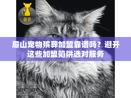 避开这些加盟陷阱选对服务图片