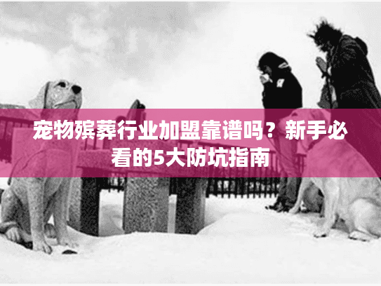 宠物殡葬行业加盟靠谱吗？新手必看的5大防坑指南