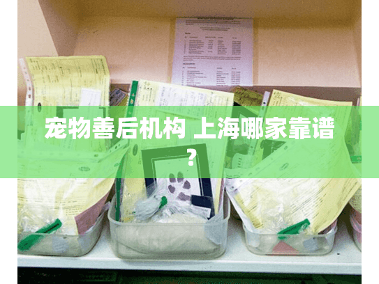 宠物善后机构 上海哪家靠谱？
