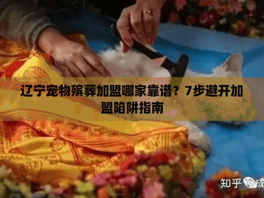 辽宁宠物殡葬加盟哪家靠谱？7步避开加盟陷阱指南