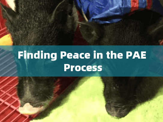 Finding Peace in the PAE Process