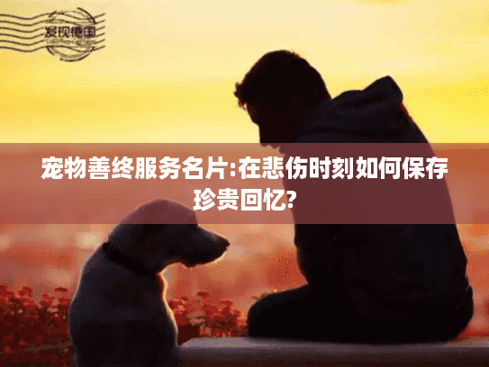 宠物善终服务名片:在悲伤时刻如何保存珍贵回忆?