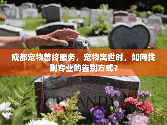 成都宠物善终服务，宠物离世时，如何找到专业的告别方式？