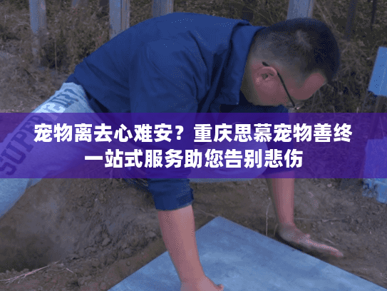 宠物离去心难安？重庆思慕宠物善终一站式服务助您告别悲伤