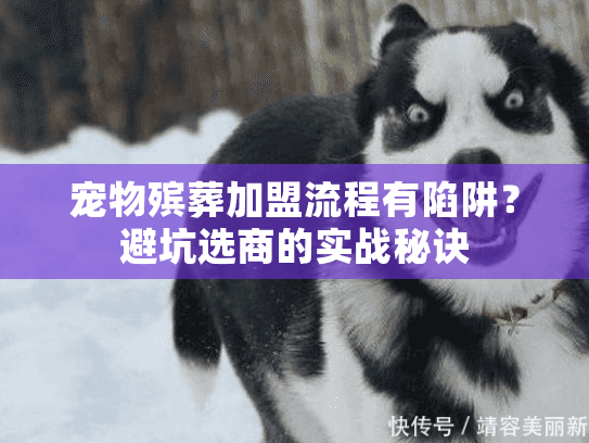 宠物殡葬加盟流程有陷阱?避坑选商的实战秘诀 宠物殡葬加盟流程有陷阱?避坑选商的实战秘诀