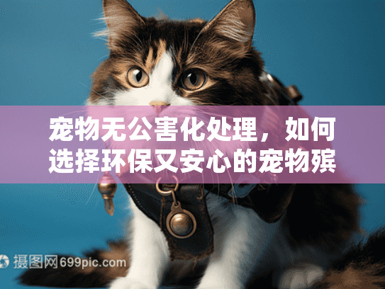 宠物无公害化处理，如何选择环保又安心的宠物殡葬服务？