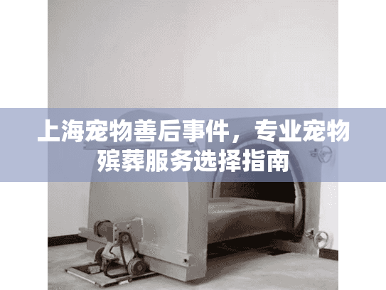 上海宠物善后事件，专业宠物殡葬服务选择指南